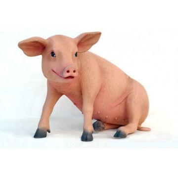 Ferkel das Schwein sitzend lebensgroß