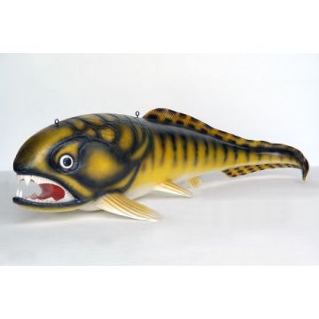 Dunkleosteus Urzeitfisch lebensgroß