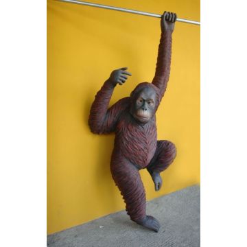 Orang-Utan hängend lebensgroß