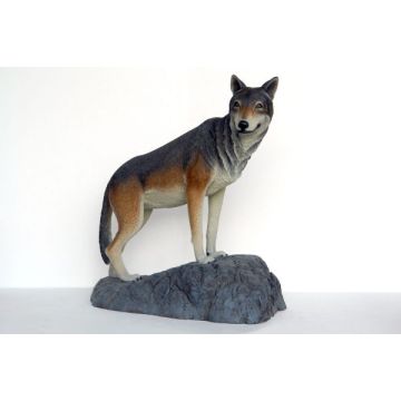 Wolf auf Felsen lebensgroß