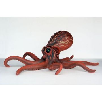 Octopus lebensgroß