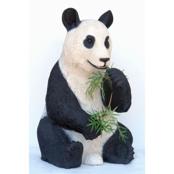 Pandabär Bambus fressend lebensgroß