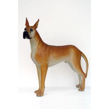 Große Dogge lebensgroß
