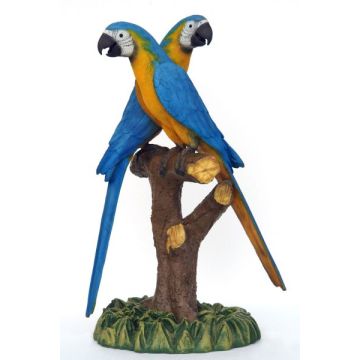 Blau-Goldenes Ara Pärchen lebensgroß