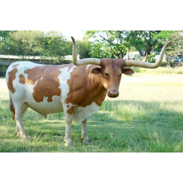 Texanisches Langhorn Rind lebensgroß