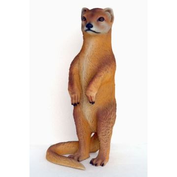 Mungo (indische Schleichkatze) lebensgroß