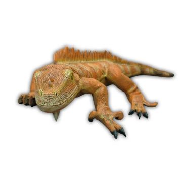 Leguan Orange lebensgroß