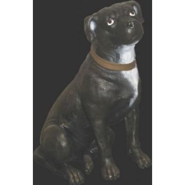 Staffordshire Terrier lebensgroß