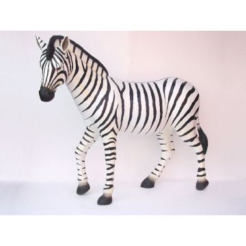 Zebra lebensgroß