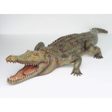 Krokodil lebensgroß