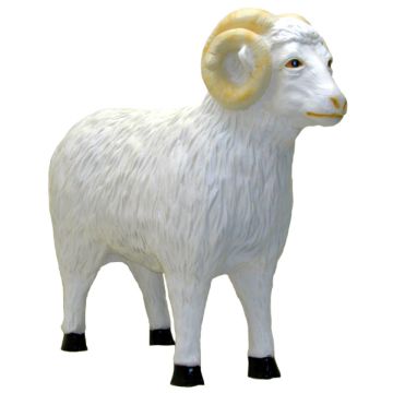 Schafbock lebensgroß