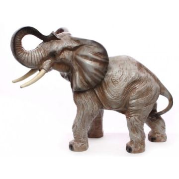 Kleiner Elefant verkleinert