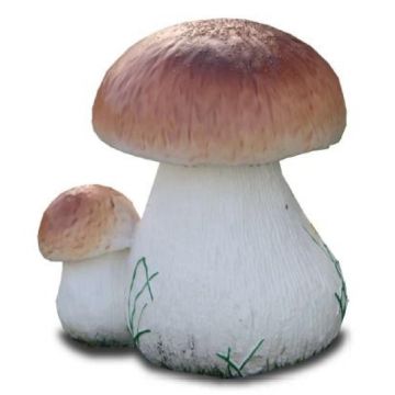 Steinpilze vergrößert