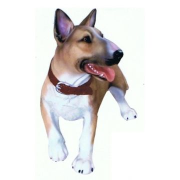 Bullterrier Kampfhund lebensgroß