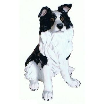 Bordercollie lebensgroß