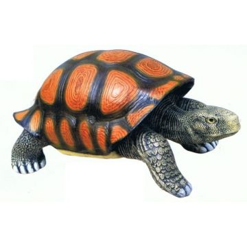 Landschildkröte lebensgroß