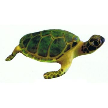 Wasserschildkröte lebensgroß