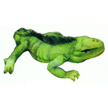 Grüner Leguan lebensgroß