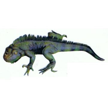 Leguan lebensgroß
