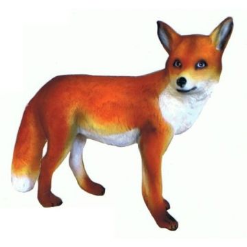 Fuchs laufend lebensgroß