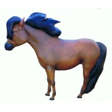 Pony mit langer Mähne lebensgroß