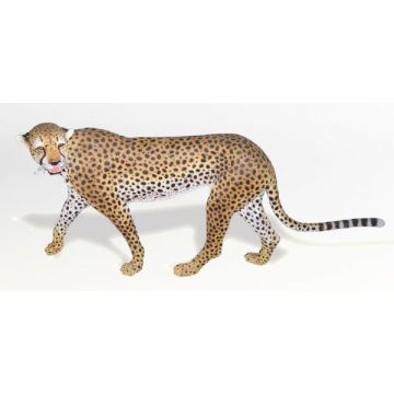 Gepard lebensgroß