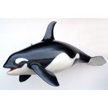 Orca Killerwal lebensgroß