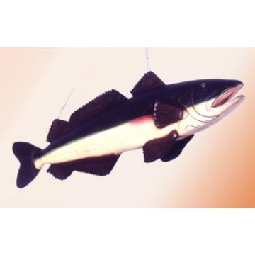 Fisch 1 lebensgroß