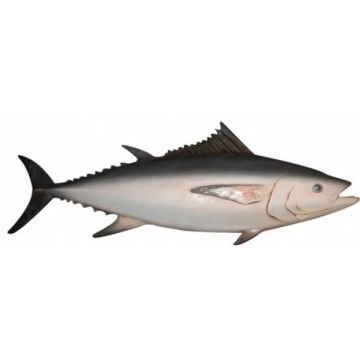 Tunfisch lebensgroß