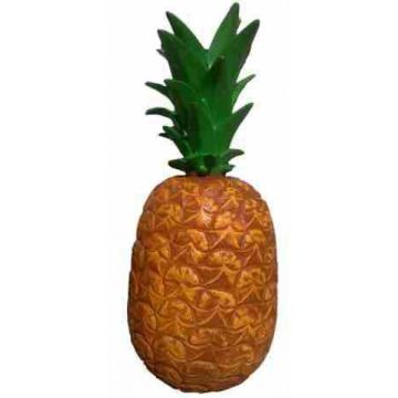 Ananas vergrößert