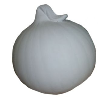 Zwiebel klein vergrößert