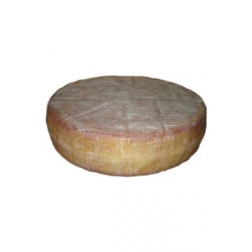 Käserad Hartkäse vergrößert