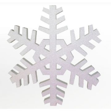 Schneeflocke vergrößert