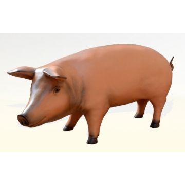 Modernes Schwein lebensgroß lebensgroß