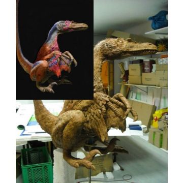 Welocyraptor lebensgroß