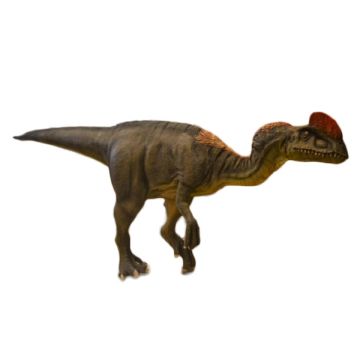 Diflonosaurus lebensgroß