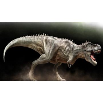 Tyranosaurus REX XXL lebensgroß
