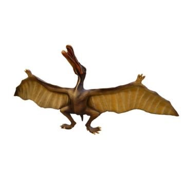 Cerodaktyl lebensgroß