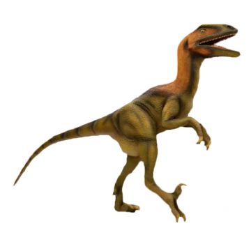 Deinonychus lebensgroß
