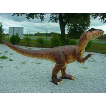 Allosaurus klein lebensgroß