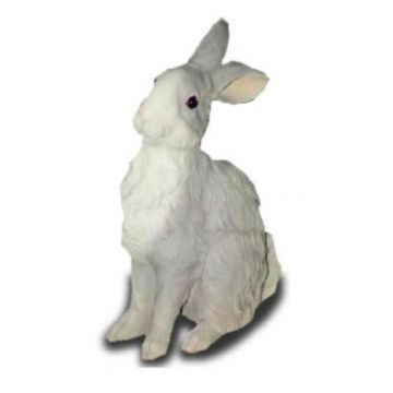 Hase sitzend lebensgroß
