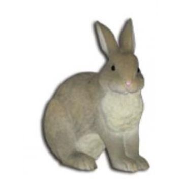Hase schauend nach links lebensgroß