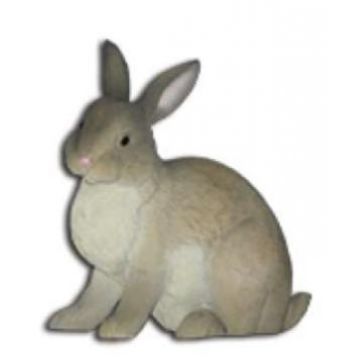 Hase schauend nach rechts lebensgroß