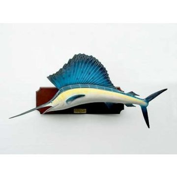 Segelfisch lebensgroß