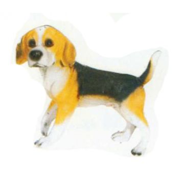Beagle laufend lebensgroß