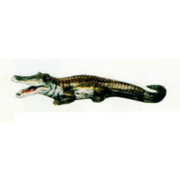 kleiner Alligator hell lebensgroß