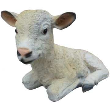 Schaf Lamm lebensgroß