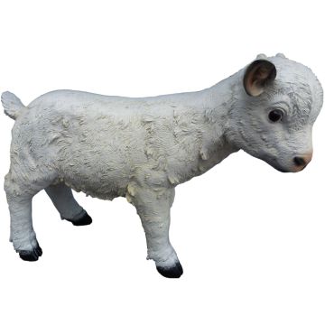 Schaf Lamm lebensgroß
