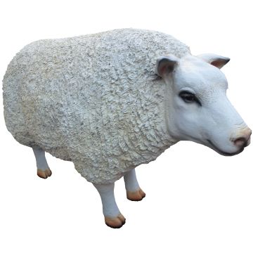 Schaf lebensgroß