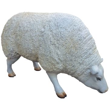 Schaf lebensgroß
